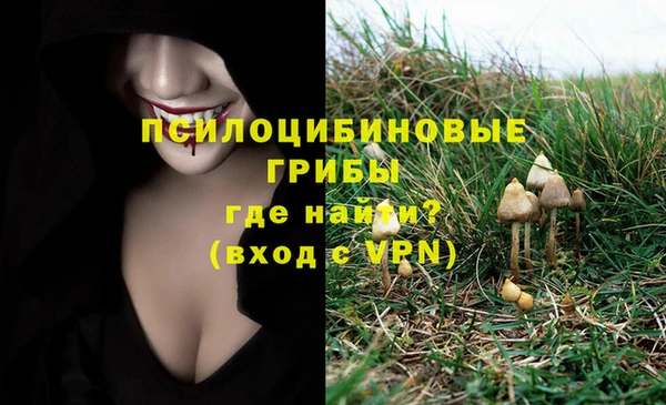метадон Аркадак