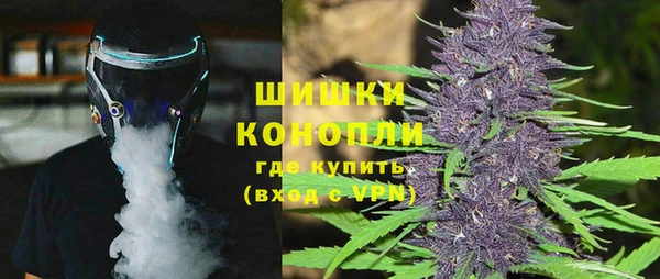 хмурый Нея