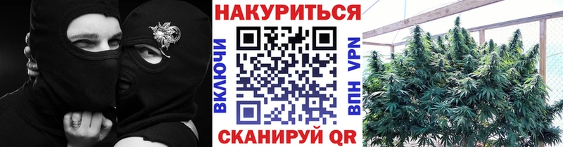 hydra как войти  Сурск  Шишки марихуана SATIVA & INDICA  купить наркоту 